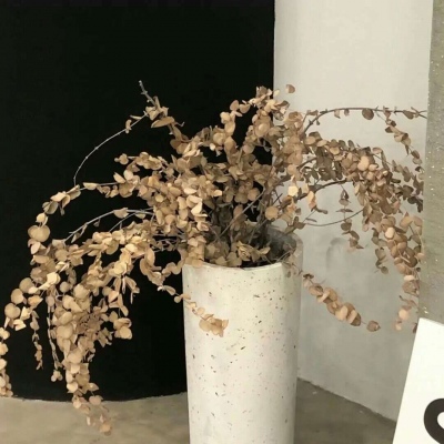 莒南FurryQQ群介绍